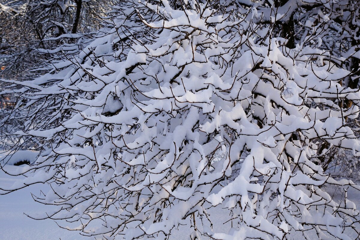 Волшебная зимняя пора - Рита Симонова