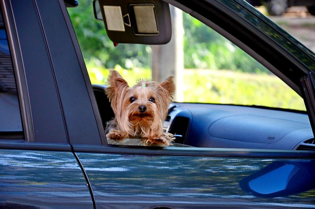 Я готова позировать.. - Михаил Курзанцев