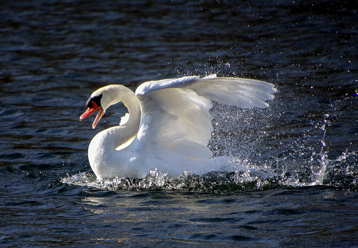 Весенний клич - Андроник Александр Весенний клич - Андроник Александр