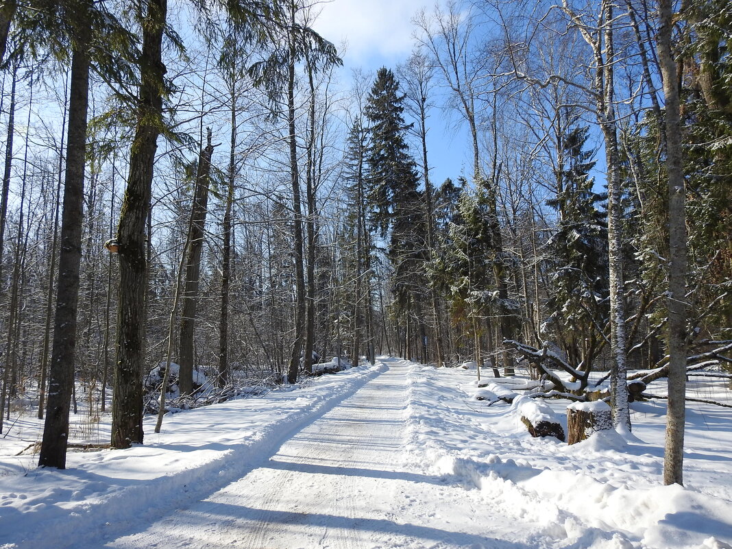 последние дни зимы - ИННА ПОРОХОВА последние дни зимы - ИННА ПОРОХОВА