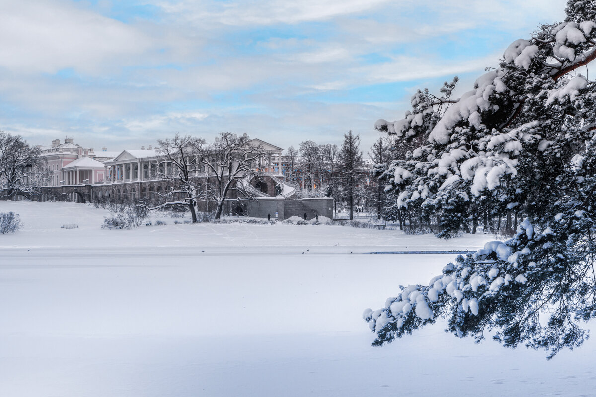 Про Питер - Владимир Колесников