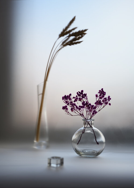 В ожидании весны - Кулишев Николай 