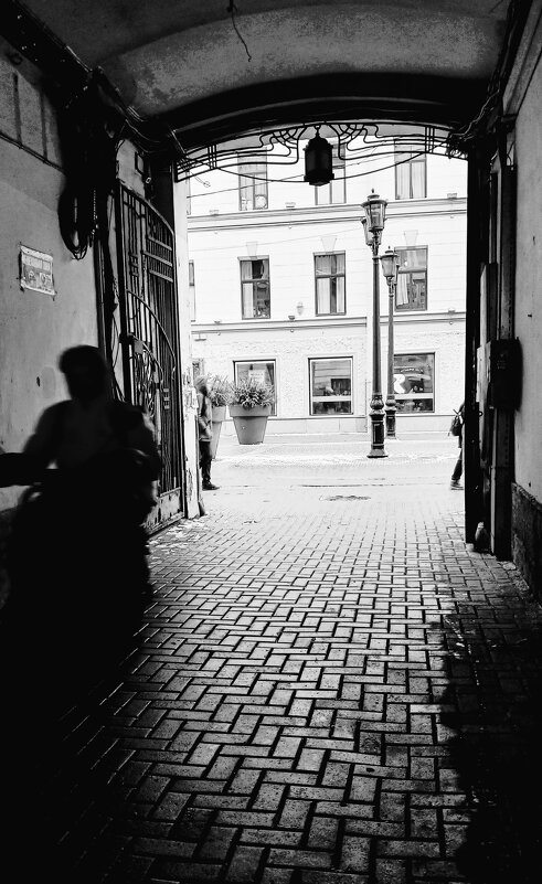 Питерские дворы - Наталья Герасимова