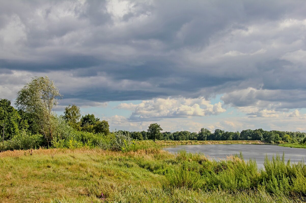 К дождю... - Сергей Рожков