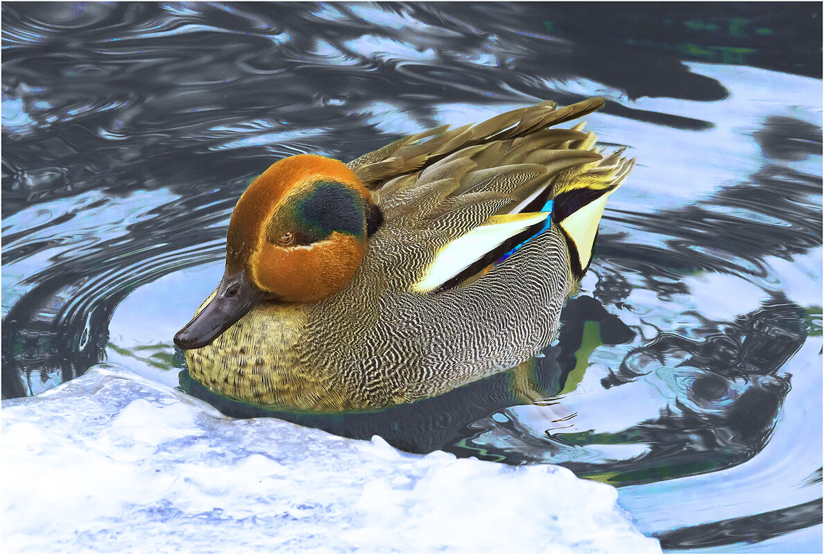 Чирок - свистунок - Валентин Котляров