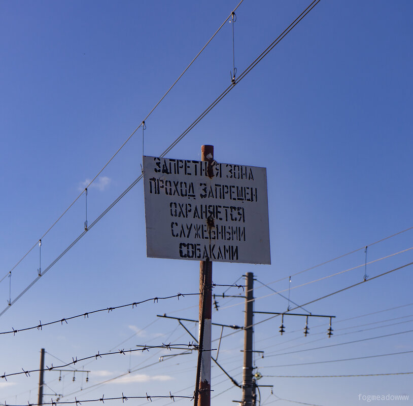 без названия - fogmeadowww m