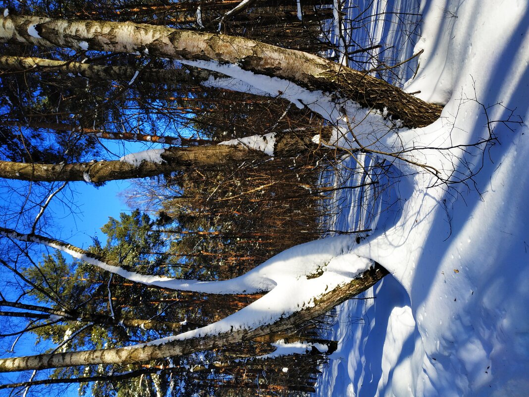 Накануне весны - Андрей Лукьянов Накануне весны - Андрей Лукьянов