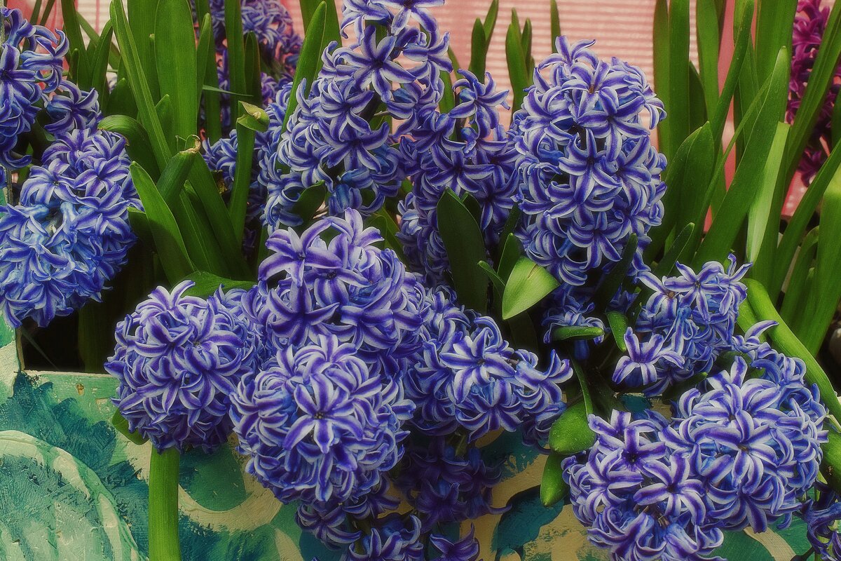 Скачок во времени. - Татьяна Помогалова Скачок во времени. - Татьяна Помогалова