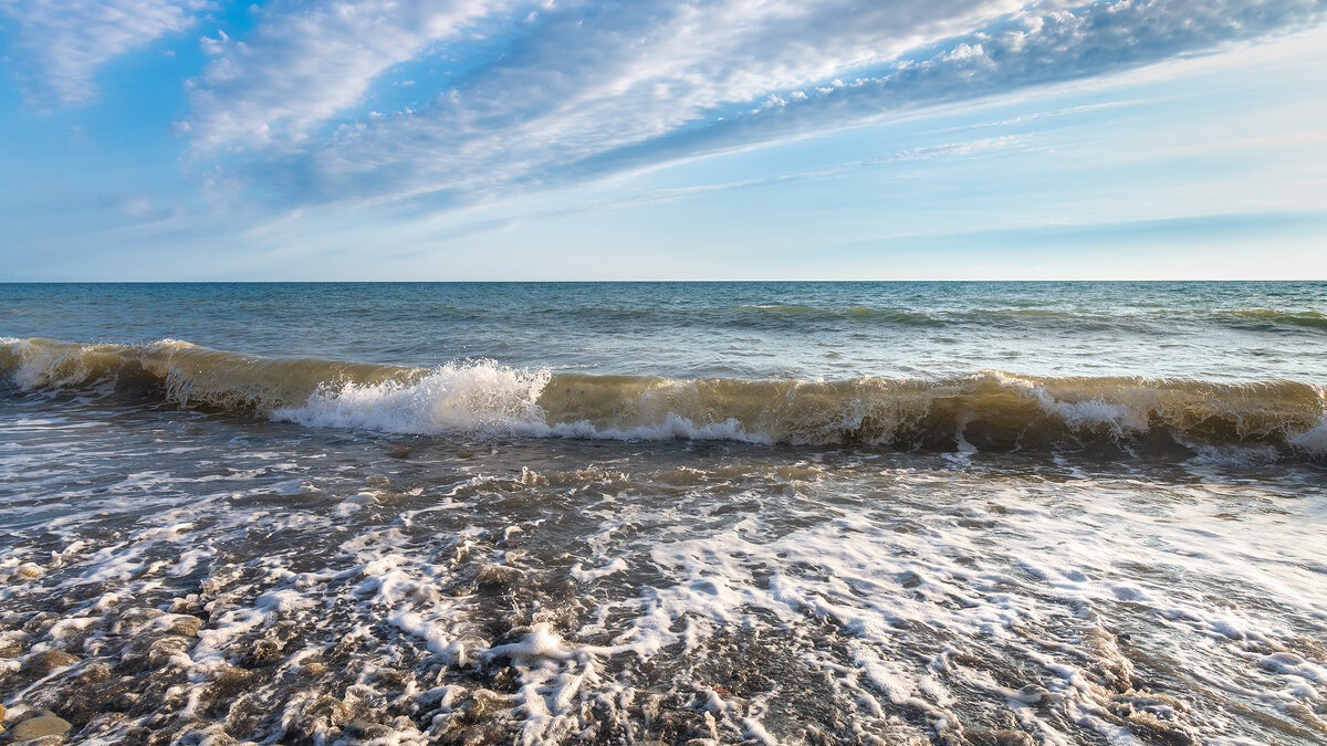 На морском берегу. Волна. - Владимир Лазарев