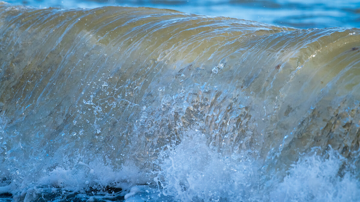 На морском берегу. Волна. - Владимир Лазарев