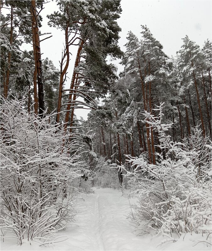 Февральский снег - Геннадий Худолеев Худолеев Февральский снег - Геннадий Худолеев Худолеев