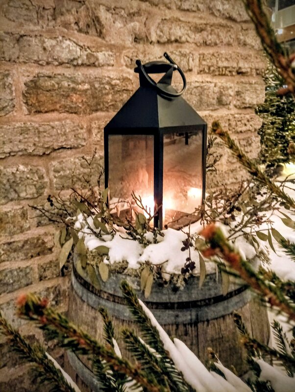 Вечерняя прогулка - Veera V Вечерняя прогулка - Veera V