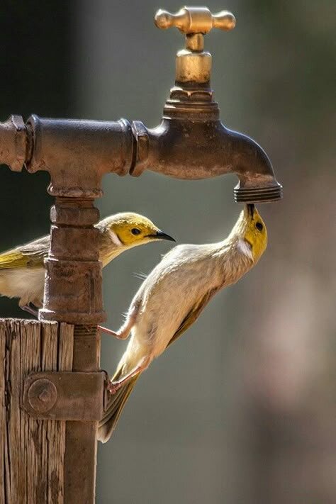 Попить бы... - Валерий Кокорев