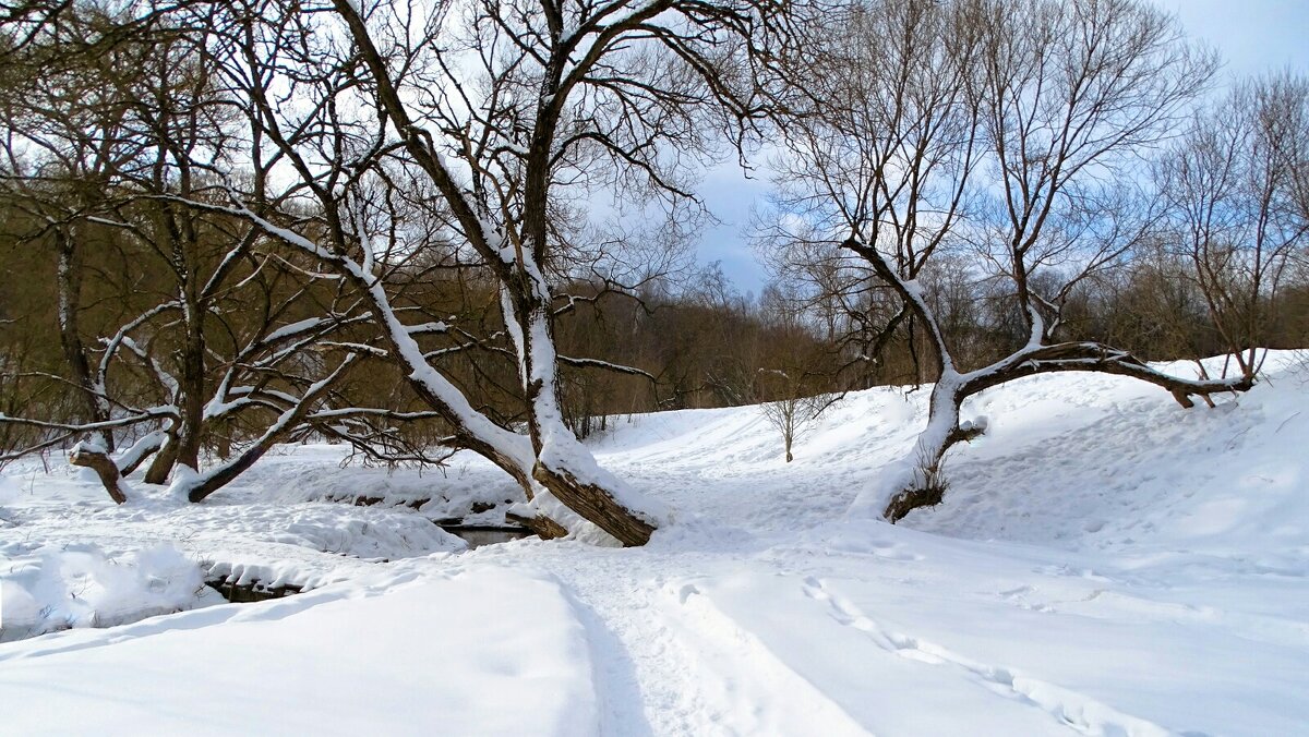 Зима в конце февраля. - Милешкин Владимир Алексеевич Зима в конце февраля. - Милешкин Владимир Алексеевич
