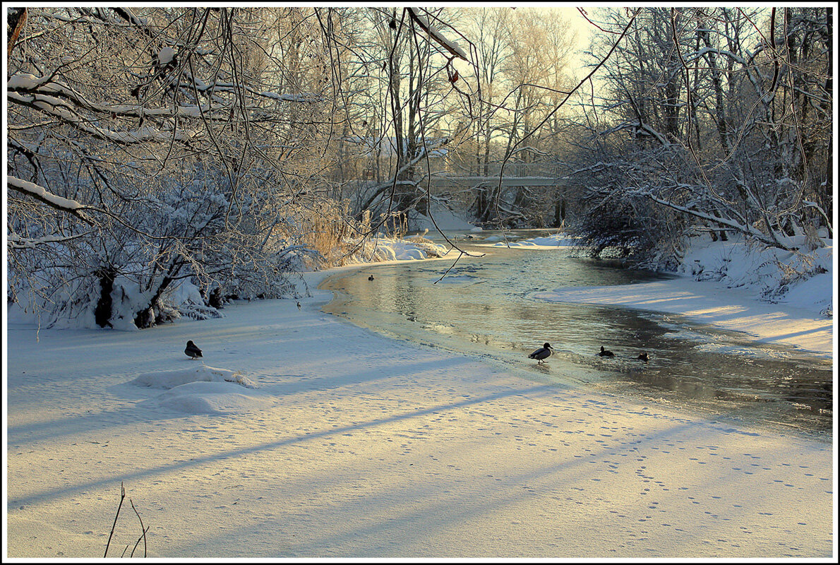 *** - Aleksandr Gal *** - Aleksandr Gal