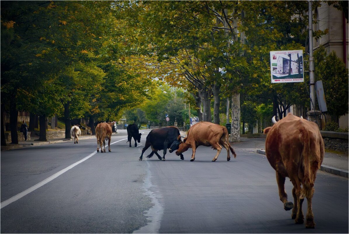Не ссорьтесь, девочки! - Александр Лебедев Не ссорьтесь, девочки! - Александр Лебедев