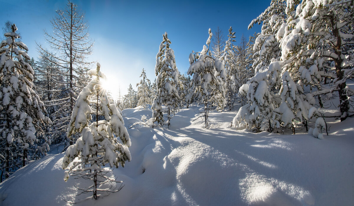 Сверкающий полдень - Vladimbormotov 