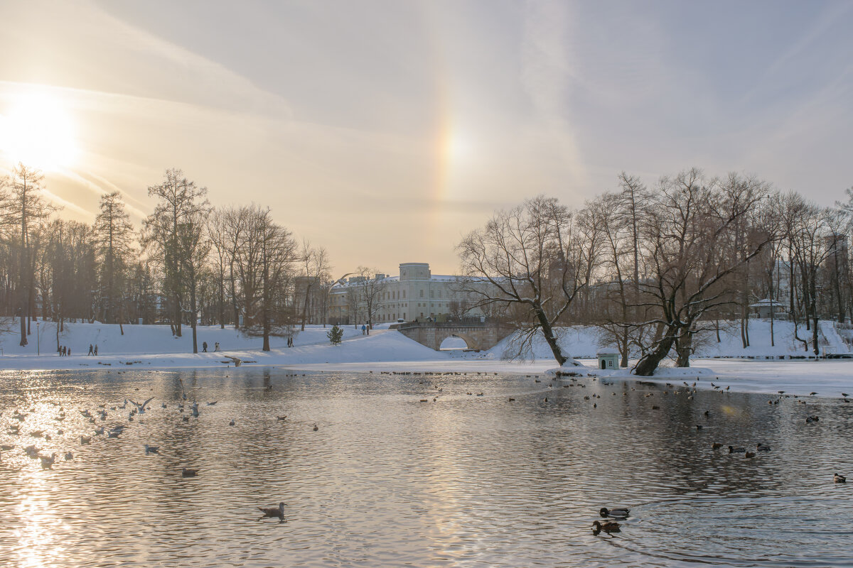 Радужное гало над Большим Гатчинским дворцом - Дарья Меркулова