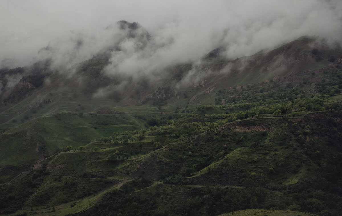 Дагестан - Лилия .