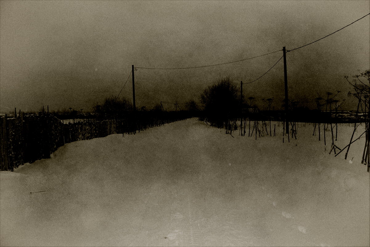 Фотография - Денис Безногов