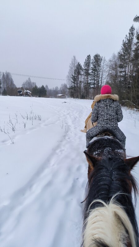 По заснеженному полю. - Ольга 