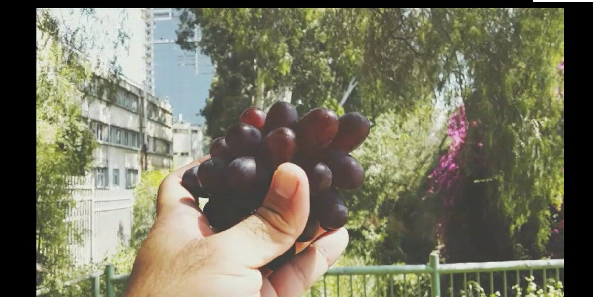 13  ОПЕН (912) - OPEN WAYS ALL