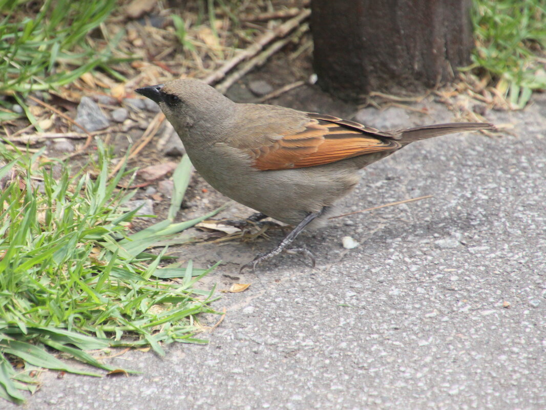 Кто я? - Валентина Кто я? - Валентина