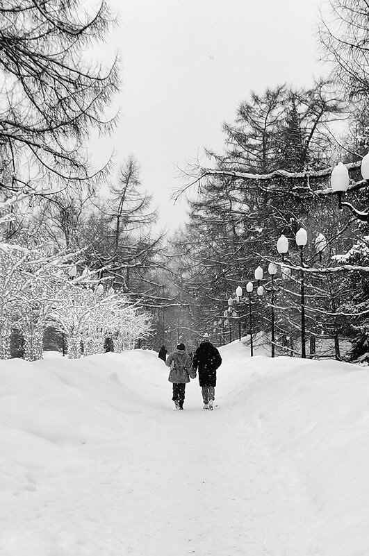 В парке. Черно-белая фотография - Любимова Ольга 