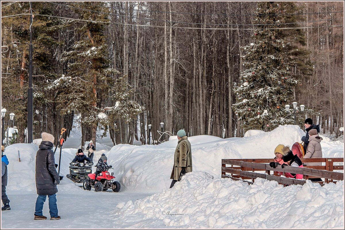 Зимний парк... - Aquarius - Сергей Зимний парк... - Aquarius - Сергей