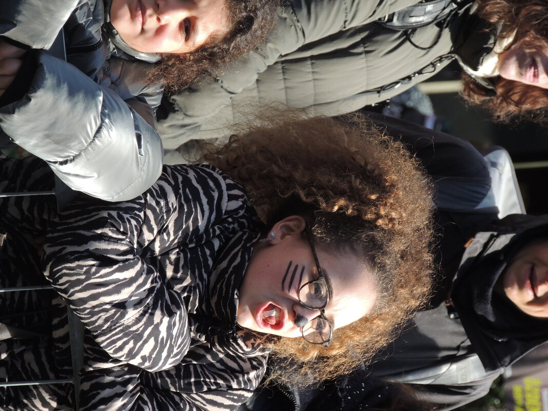 В ожидании карнавала - Алла Булашевская