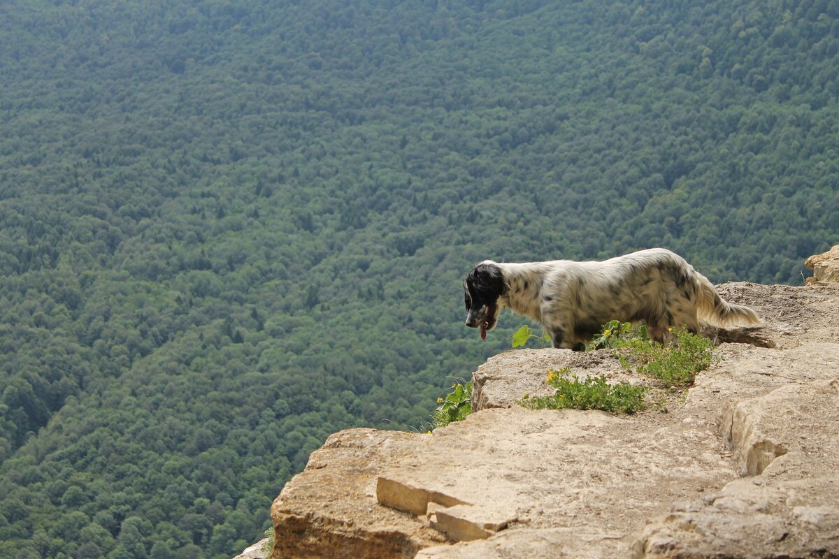 Да, высоковато здесь...))) - Александр Герасенков Да, высоковато здесь...))) - Александр Герасенков