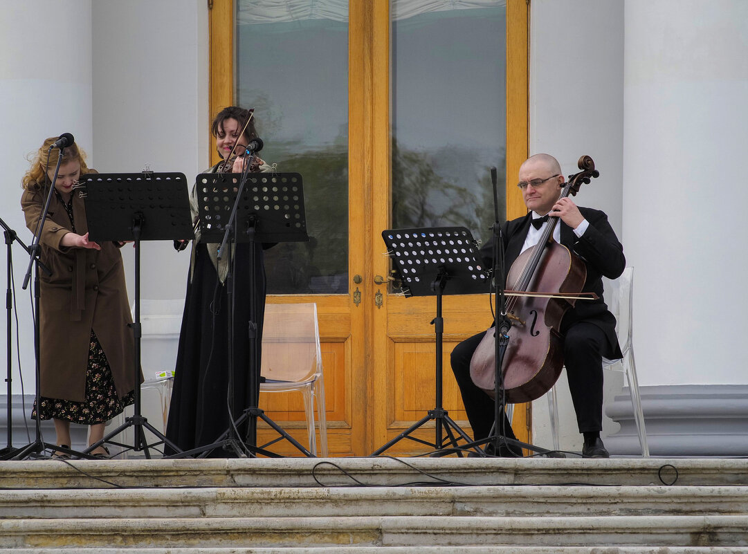 Классика на Елагином острове - Магомед . Классика на Елагином острове - Магомед .