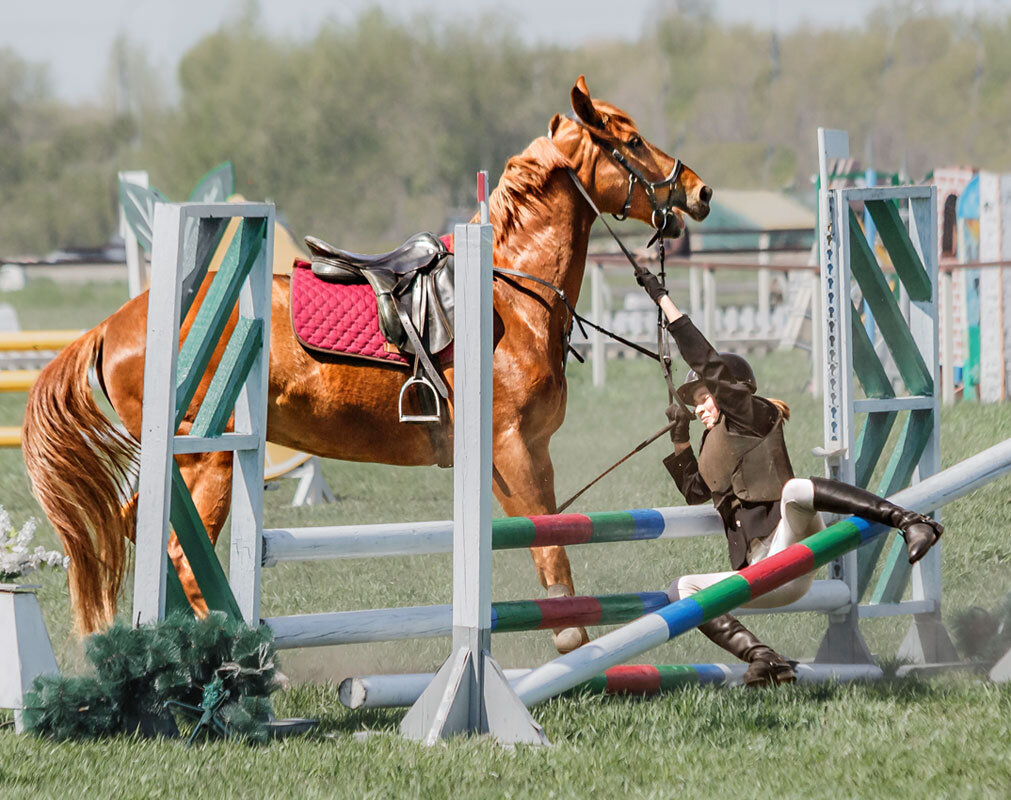 Конкур - SanSan 