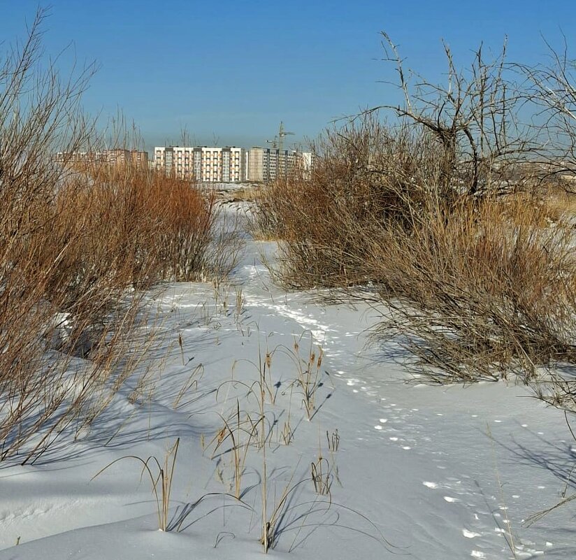 Февраль - Георгиевич 