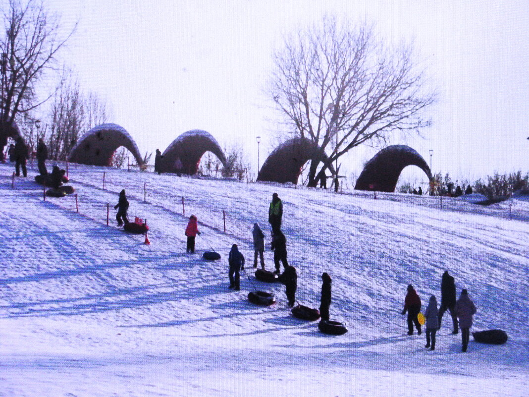 Покатушки в парке - Людмила Смородинская