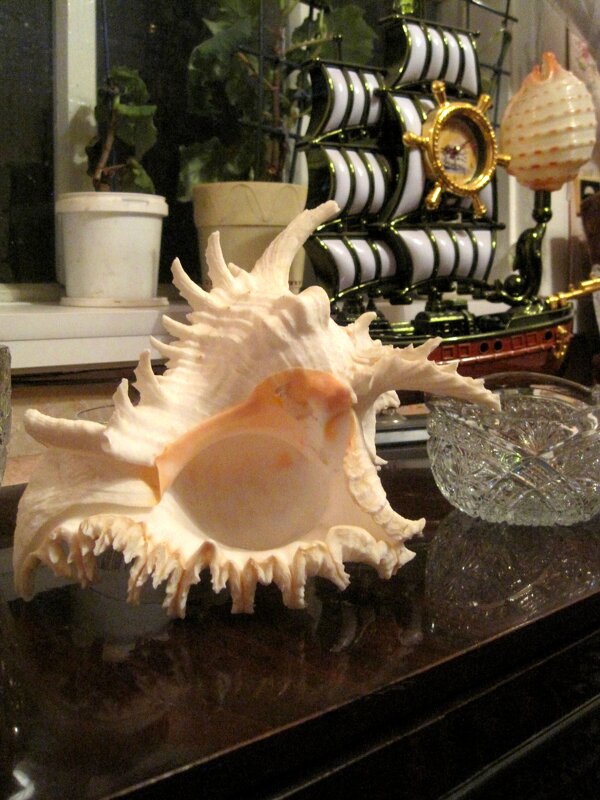 *** - Андрей Л. В.