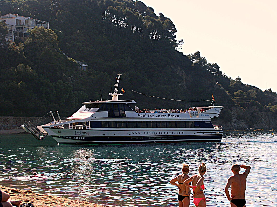 Приехали... - Владимир Драгунский