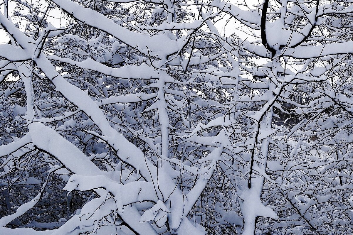 Снег, снежок... - Рита Симонова