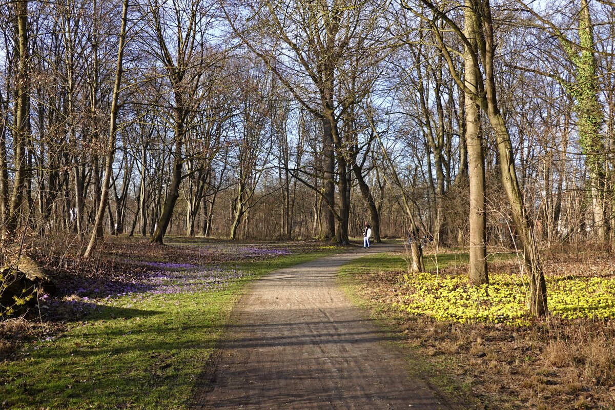 Весна идёт....!!! - Галина 