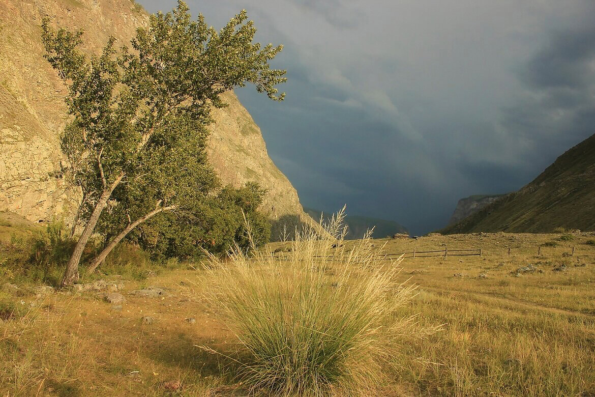 Гроза надвигается в долине Чулышман - елена беликова