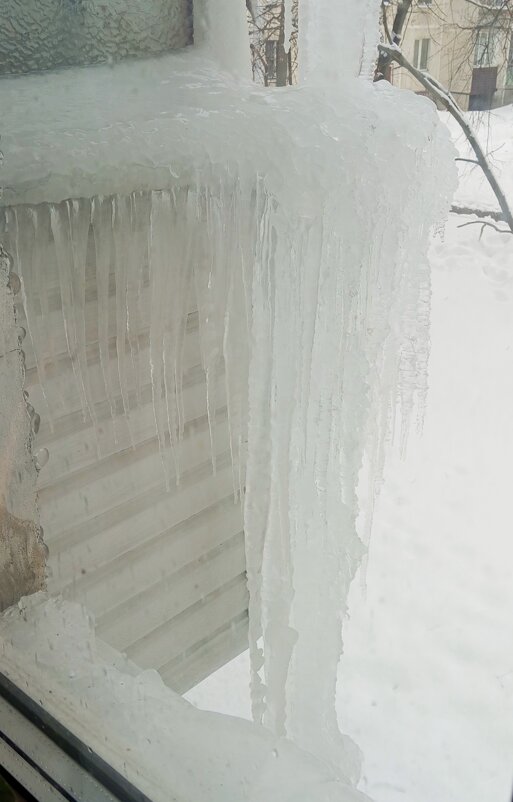 Ледяное царство - Елена Семигина