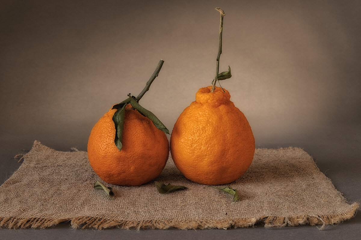 Он и Она. Натюрморт - шутка. - Лилия * Он и Она. Натюрморт - шутка. - Лилия *