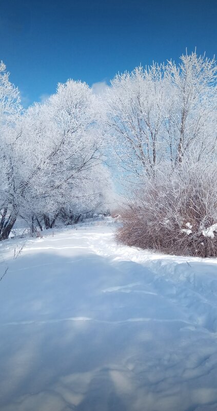 Ещё зима - Тамара Вебер