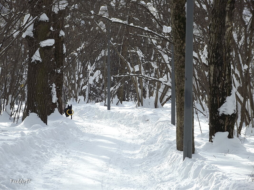 Приятная встреча - Freddy 97