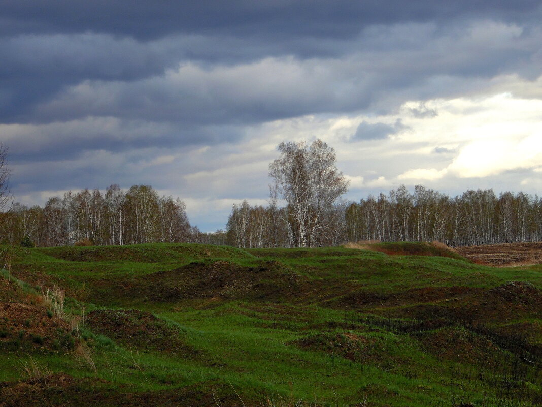 Весна будет ! - nadyasilyuk Вознюк