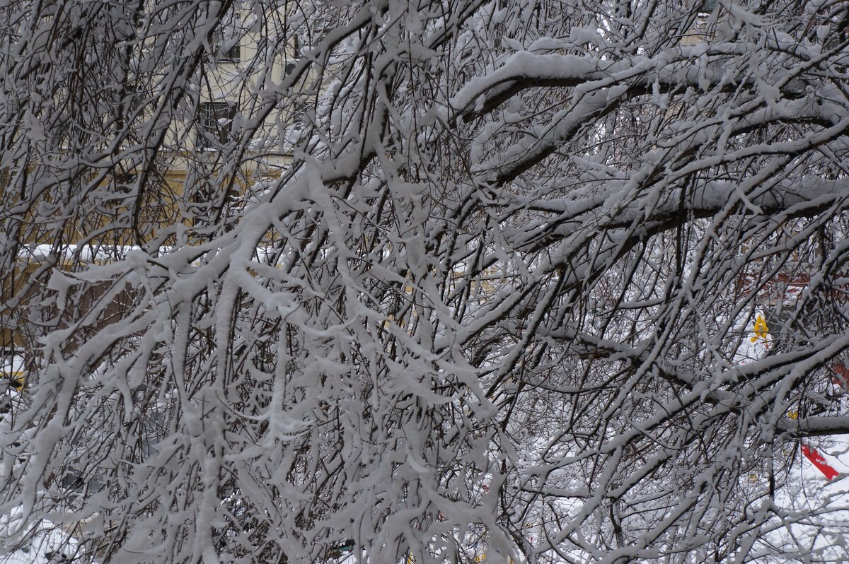 Зима уходит..... - Алёна Савина