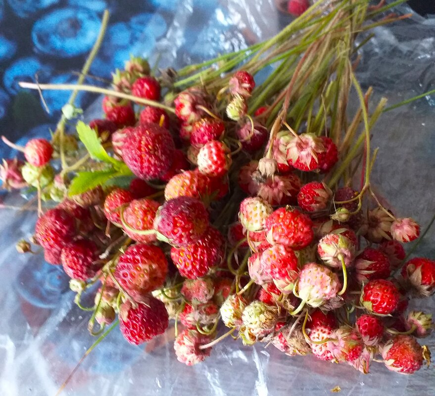 самый вкусный гостинец лета... - Галина Флора