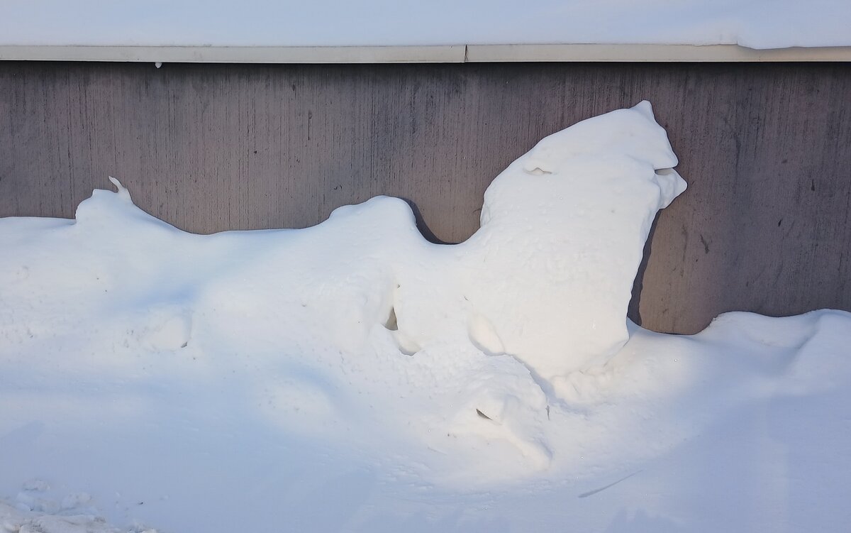 Снежный барельеф - Наталья Герасимова