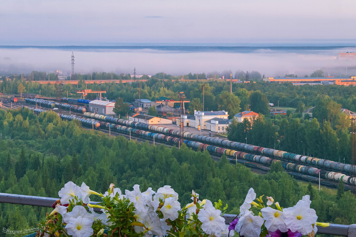 Прохладное июльское утро 3 часа,вид на Ухту с горы Ветлосян, над тайгой плотный туман - Николай Зиновьев