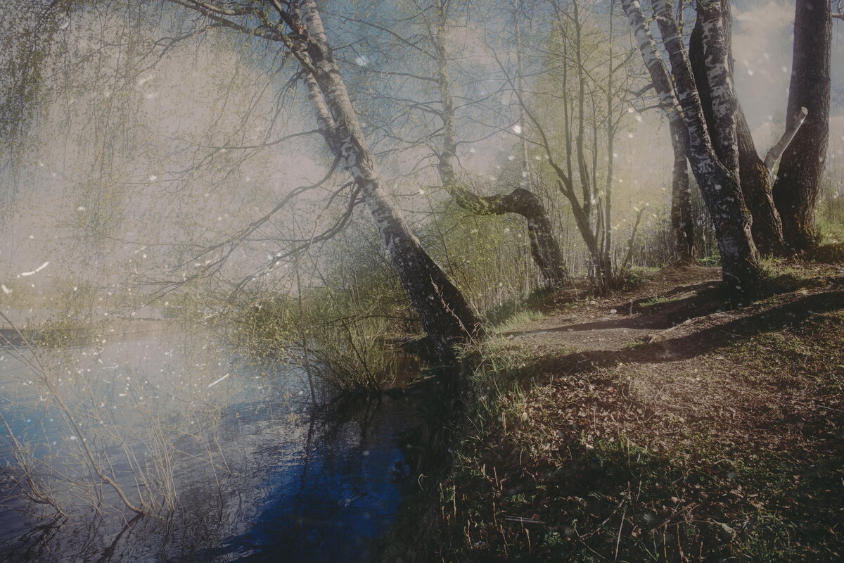 Фотография - Денис Безногов